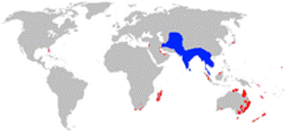 220px-Common_Mynah_distribution_map